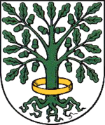 Wappen Dingelstaedt.png